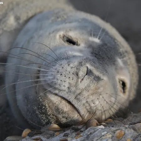 Natuurlijk Egmond aan Zee
