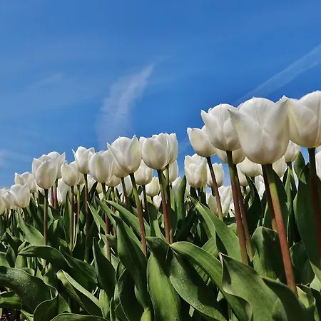 Natuurlijk Egmond aan Zee