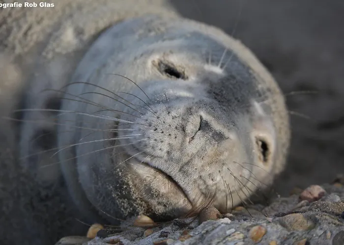 Natuurlijk Egmond aan Zee