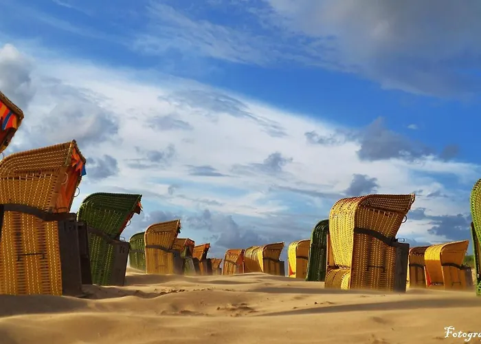 Natuurlijk * Egmond aan Zee