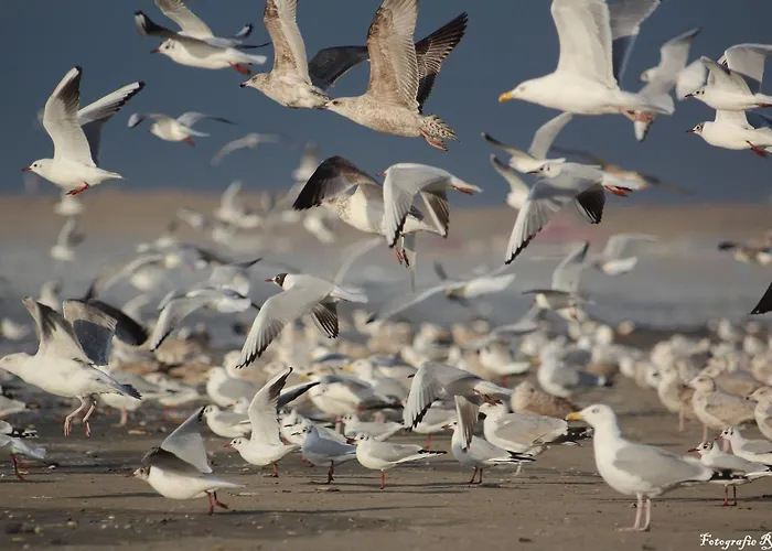Apartament Natuurlijk