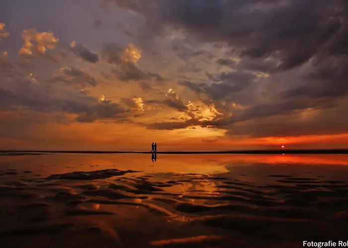 Apartament Natuurlijk *