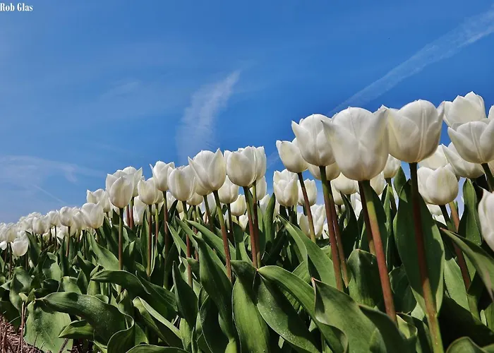 Natuurlijk Egmond aan Zee