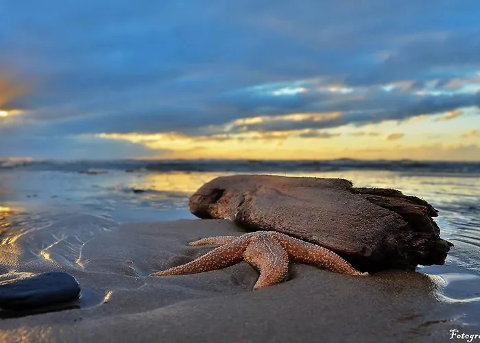 Natuurlijk * Egmond aan Zee