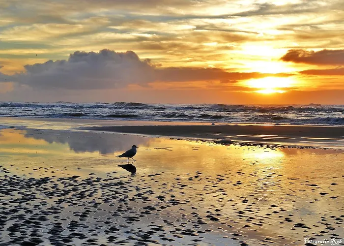 Natuurlijk Egmond aan Zee