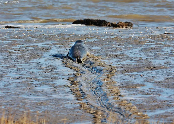 Natuurlijk * Egmond aan Zee